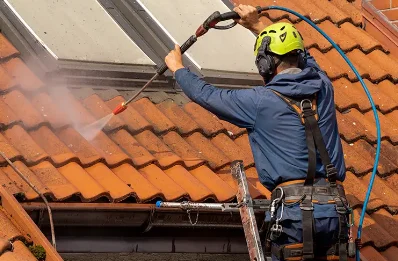 Démoussage et hydrofuge de toiture à Lespesses